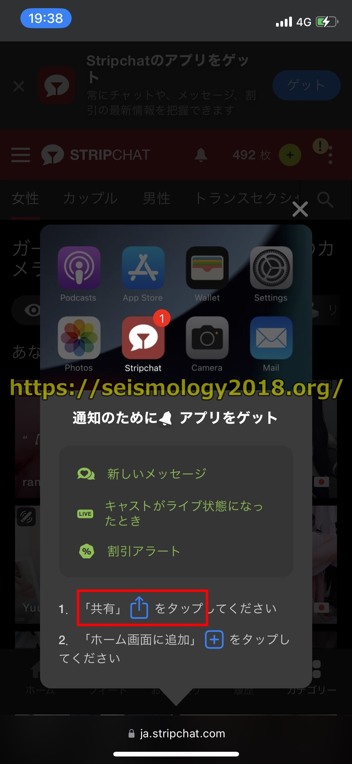 �X�g���b�v�`���b�g