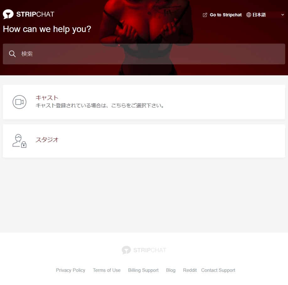 �X�g���b�v�`���b�g